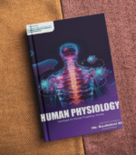 Human Physiology - Image 2